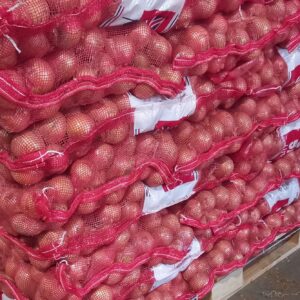 Onion 20kg