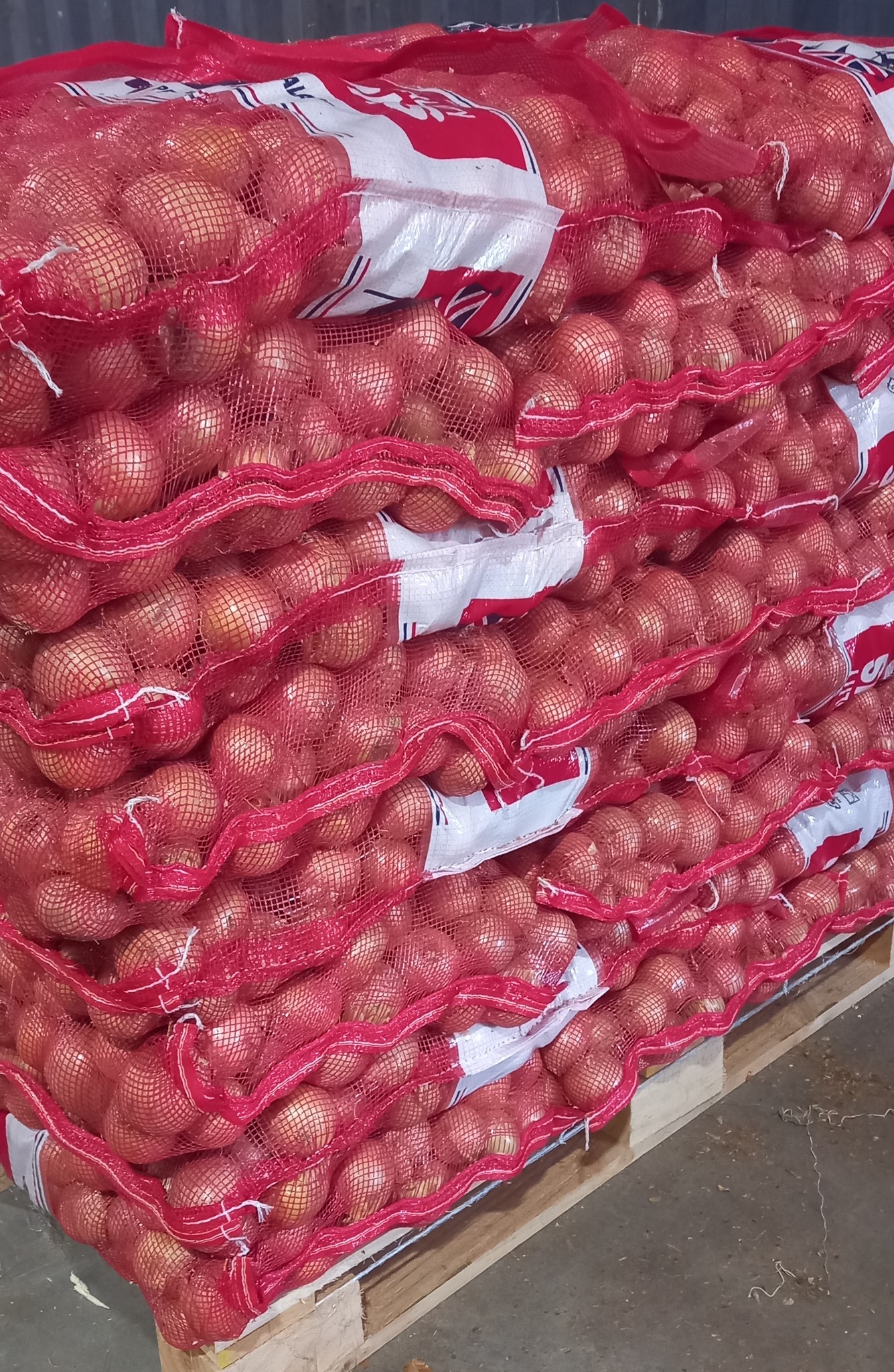 Onion 20kg