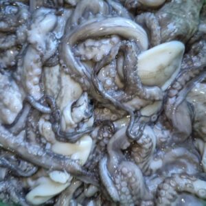 Raw Octopus/kg