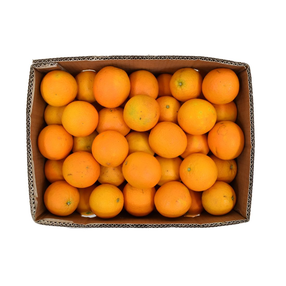 Orange 113 psc ctn [bulk buy]