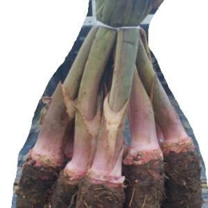 Fresh produce combo: dalo, rourou, coconuts